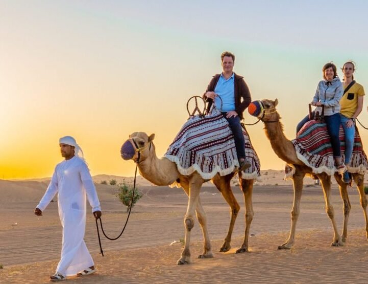Riding camels at sunset on an Abu Dhabi desert safari camel trek