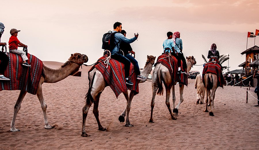 Short camel ride at the desert camp in the late afternoon