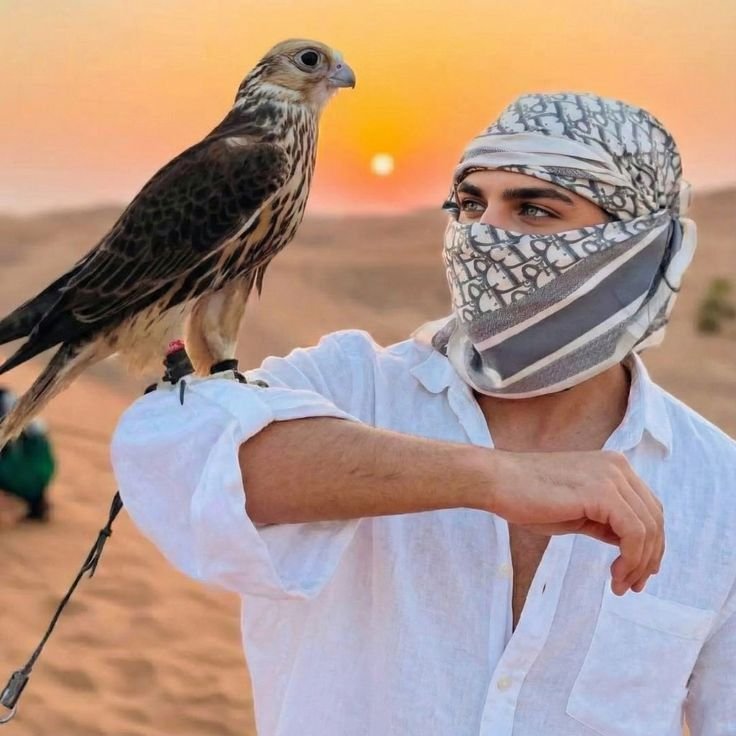 Falconry at sunset on an Abu Dhabi desert safari